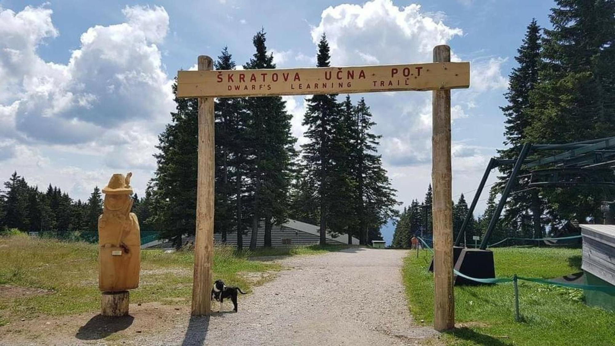 Rogla - Chalet Mojca Pokrajculja Zreče エクステリア 写真