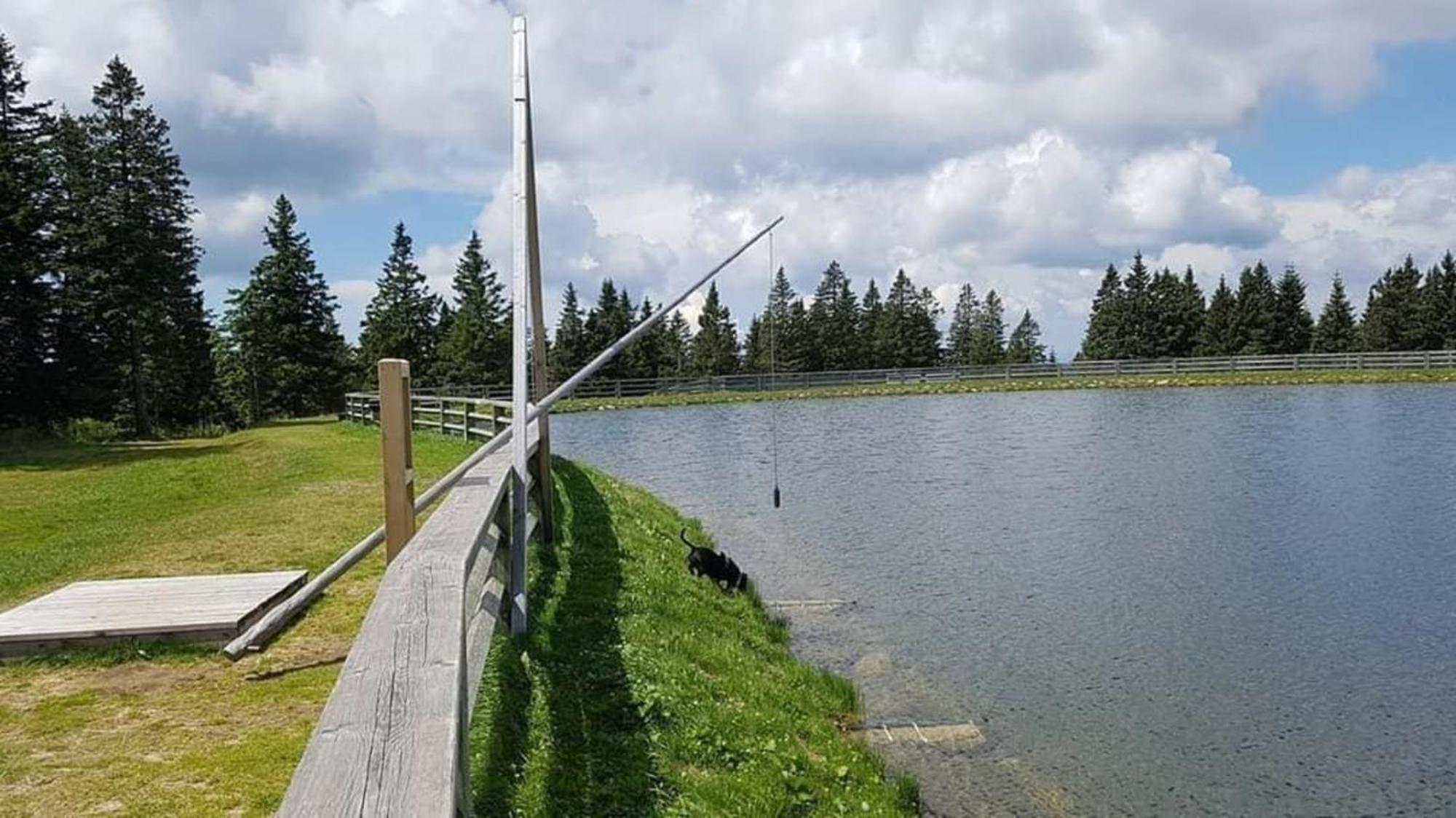 Rogla - Chalet Mojca Pokrajculja Zreče エクステリア 写真