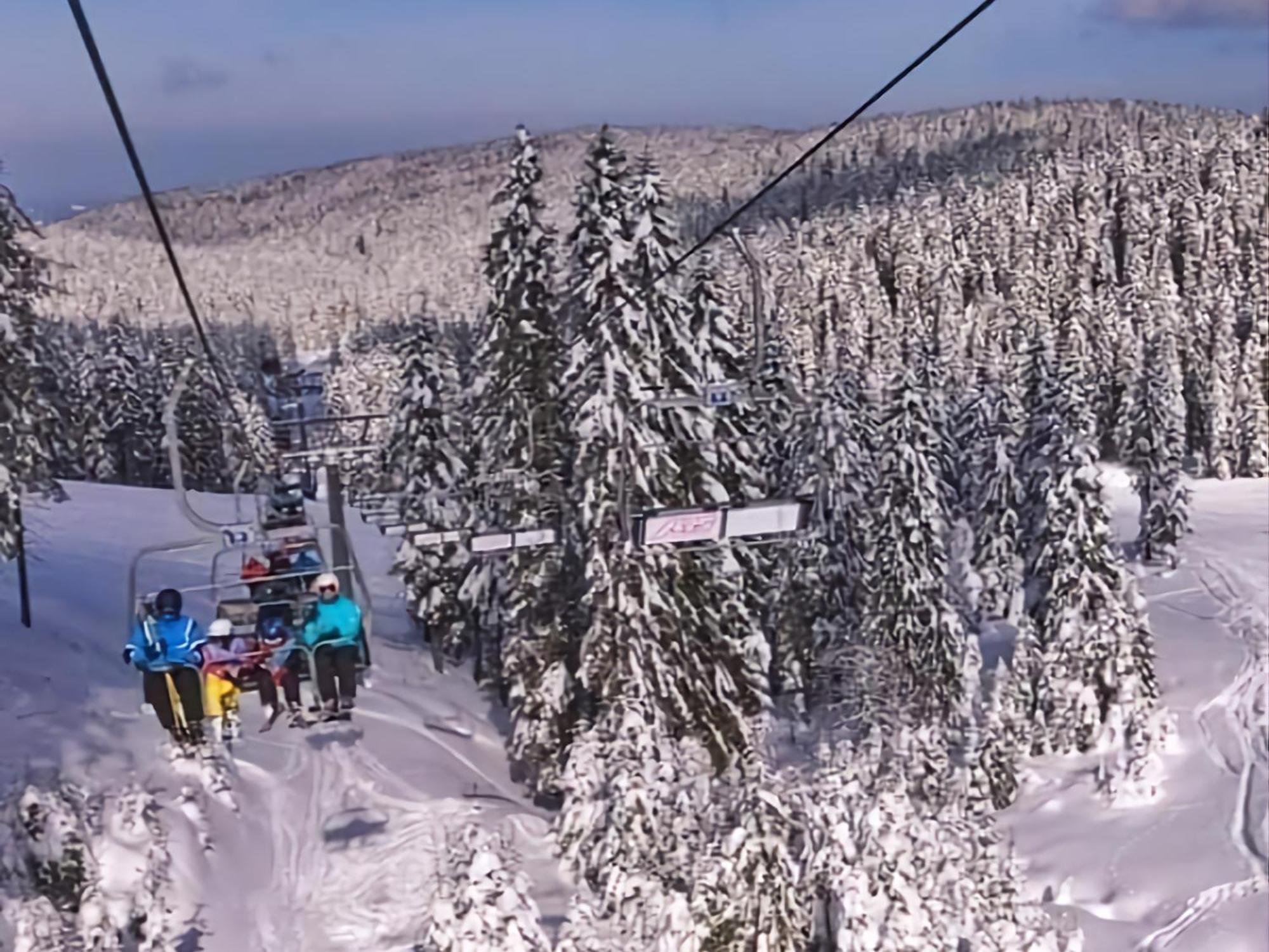 Rogla - Chalet Mojca Pokrajculja Zreče エクステリア 写真