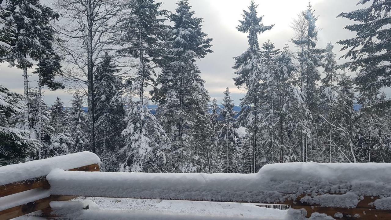 Rogla - Chalet Mojca Pokrajculja Zreče エクステリア 写真