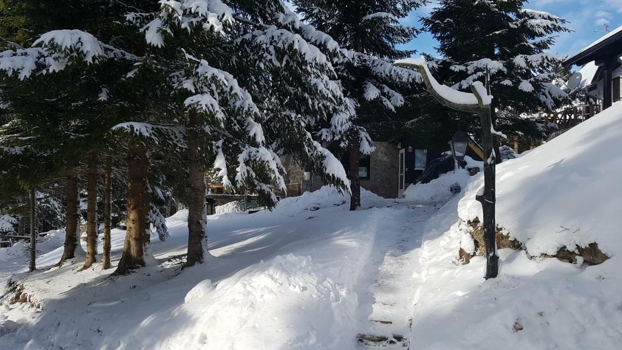 Rogla - Chalet Mojca Pokrajculja Zreče エクステリア 写真