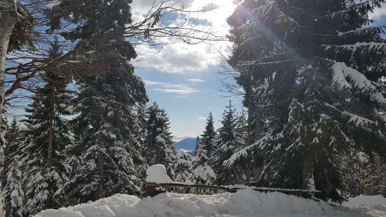 Rogla - Chalet Mojca Pokrajculja Zreče エクステリア 写真