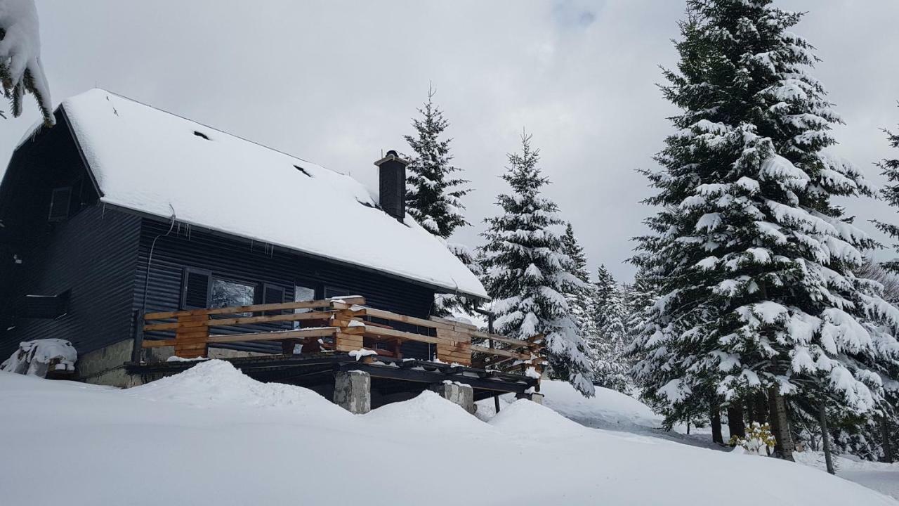 Rogla - Chalet Mojca Pokrajculja Zreče エクステリア 写真