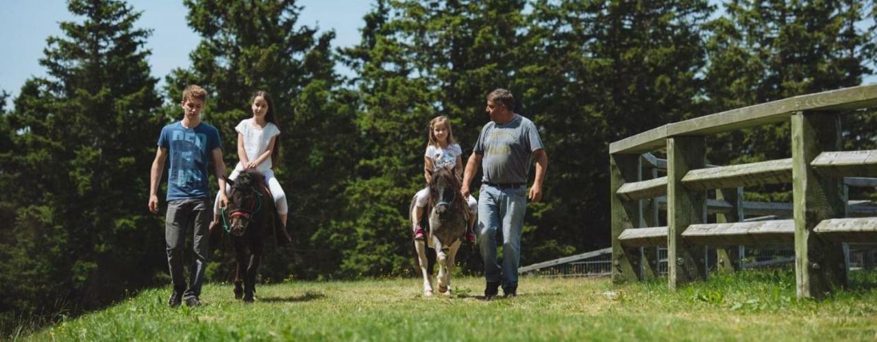 Rogla - Chalet Mojca Pokrajculja Zreče エクステリア 写真