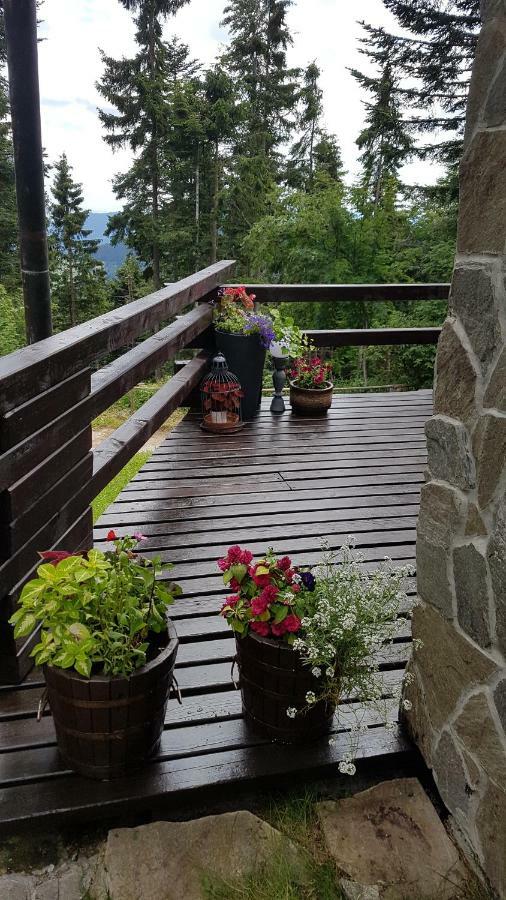 Rogla - Chalet Mojca Pokrajculja Zreče エクステリア 写真